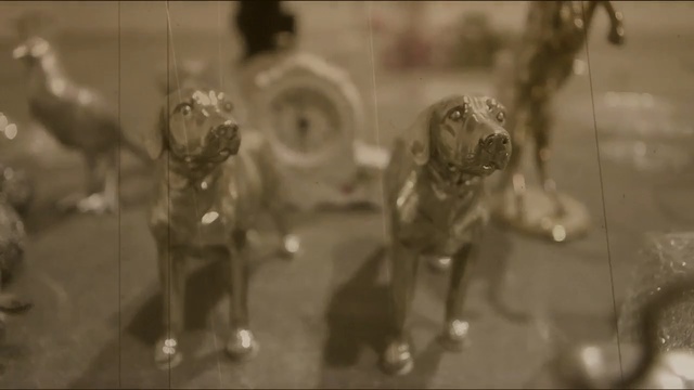 Video Reference: Dog breed, Canidae, Dog, Black-and-white, Monochrome, Non-sporting group, Photography, Sporting group, Carnivore, Working dog, Mirror, Photo, Sitting, Standing, White, Front, Black, Table, Reflection, Group, Hanging, Hydrant, Water, Man, Train, Room, Statue, Sculpture