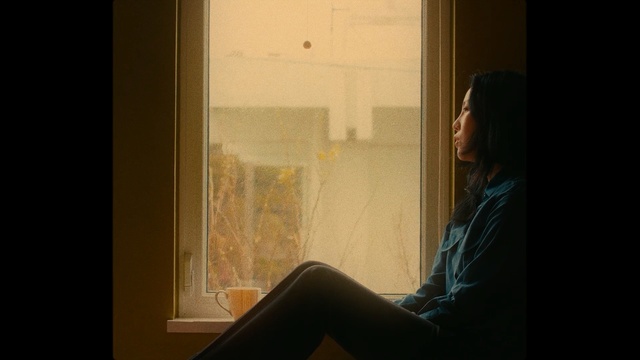 Video Reference: photograph, girl, light, darkness, sunlight, window, portrait