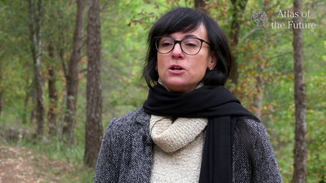 Video Reference: Scarf, Neck, Design, Glasses, Outerwear, Fashion accessory, Pattern, Tartan, Tree, Shawl