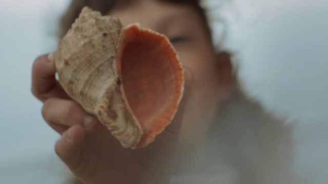 Video Reference: Food, Junk food, Shell, Dish, Cuisine, Conch, Bivalve