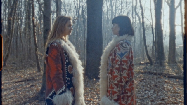 Video Reference: nature, tree, woody plant, girl, winter, forest, outerwear, woodland, plant, autumn