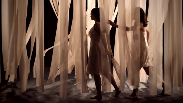 Video Reference: Performing arts, Performance art, Scene, Fun, Choreography, Performance, Dance, Event, Photography, Dancer, Person