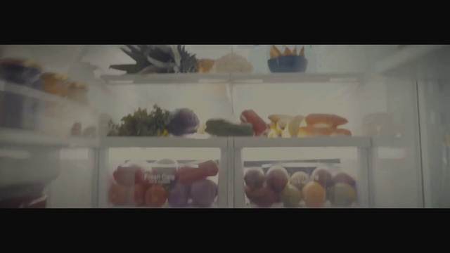 Video Reference: Text, Painting, Art, Still life, Still life photography, Organism, Photography, Watercolor paint, Modern art, Screenshot