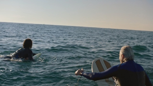 Video Reference: sea, mammal, ocean, water, vacation, wave, wind wave, horizon, coastal and oceanic landforms, fun, Person