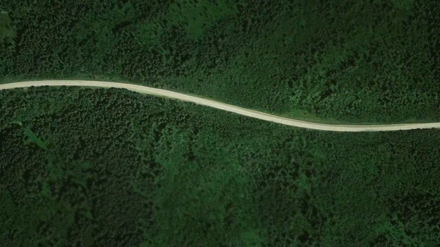 Video Reference: green, vegetation, leaf, grass, aerial photography, biome, grass family, forest