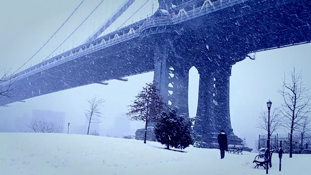 Video Reference: snow, winter, weather, ice, cold, landscape, forest, season, frost, Person