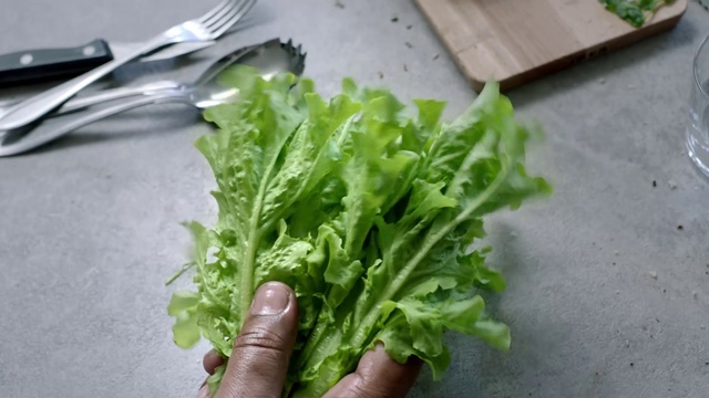 Video Reference: Leaf vegetable, Sorrel, Leaf, Food, Vegetable, Plant, Lettuce, Flower, Arugula, Herb