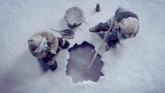 Video Reference: Leaf, Plant, Flower, Still life