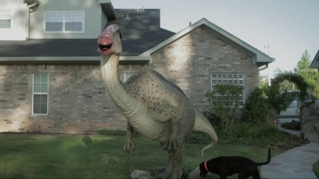 Video Reference: Dinosaur, Bird, Beak, Grass, Tree, Flightless bird, House, Goose, Wildlife, Person