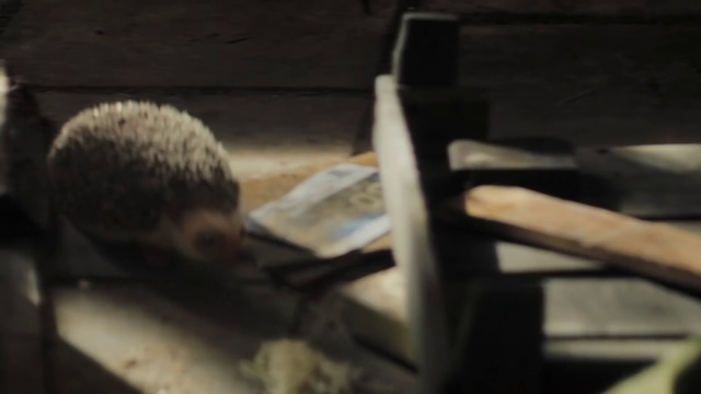 Video Reference: Automotive tire, Wood, Tints and shades, Bumper, Flooring, Automotive exterior, Metal, Automotive wheel system, Auto part, Automotive design