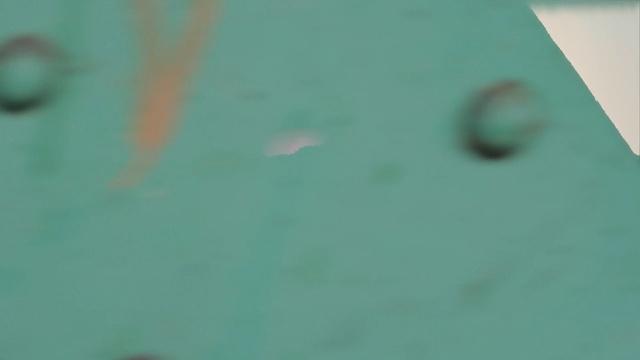 Video Reference: green, blue, white, photograph, aqua, water, nose, close up, turquoise, azure