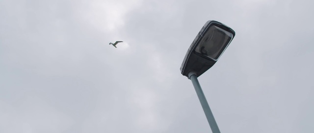 Video Reference: Street light, Lighting, Sky, Light fixture