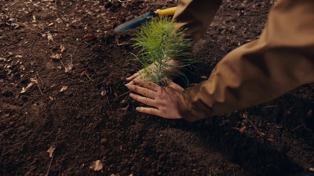 Video Reference: Soil, Plant, Grass, Tree, Hand, Adaptation, Grass family, Sowing, Gardening, Landscape