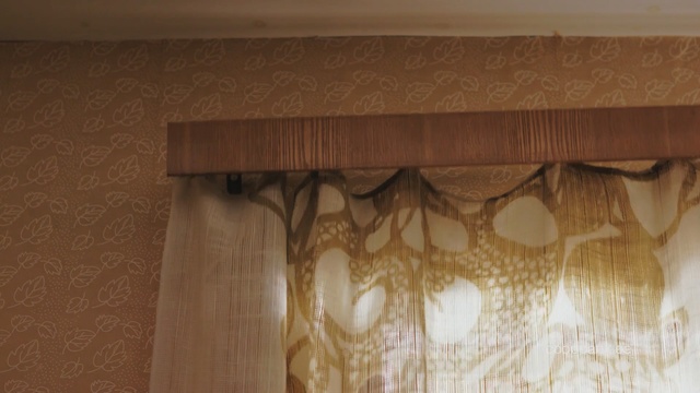 Video Reference: Curtain, Window treatment, Interior design, Window covering, Wall, Wood, Wood stain, Textile, Room, Hardwood