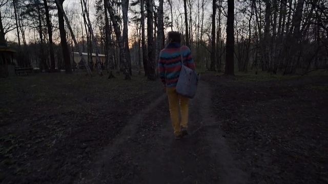 Video Reference: Woodland, Nature, Photograph, Forest, Natural environment, Tree, Morning, Sunlight, Leaf, Photography