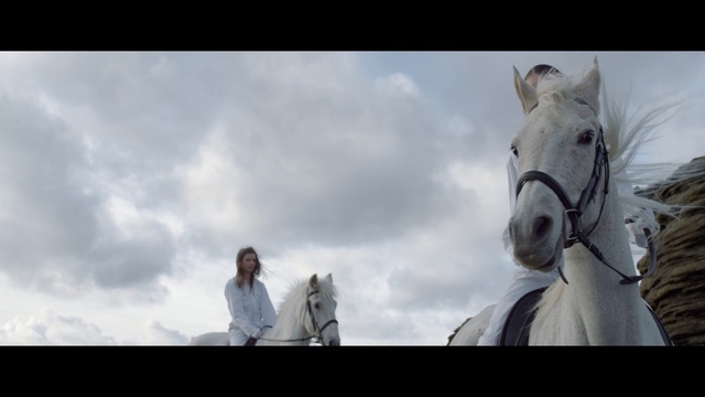 Video Reference: horse, horse like mammal, mode of transport, sky, mane, pack animal, snout, cloud, mustang horse, stallion