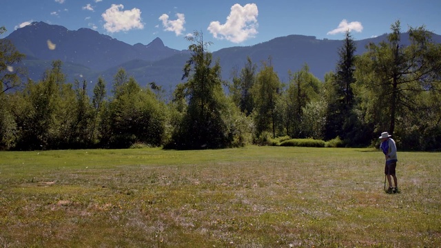 Video Reference: Grassland, Mountainous landforms, Meadow, Pasture, Natural environment, Wilderness, Mountain range, Mountain, Natural landscape, Alps