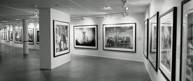 Video Reference: Art gallery, Black-and-white, Art exhibition, Museum, Exhibition, Tourist attraction, Art, Vernissage, Building, Collection