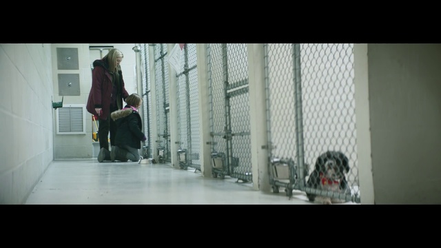 Video Reference: Photograph, Product, Snapshot, Sitting, Standing, Human, Photography, Floor, Sporting Group, Flooring