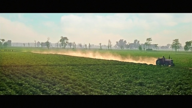 Video Reference: field, green, grassland, pasture, grass, agriculture, farm, sky, morning, rural area
