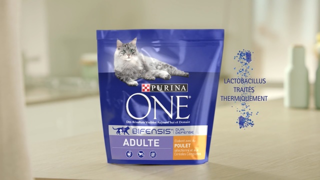 Video Reference: Cat, Cat food, Pet food, Felidae, Small to medium-sized cats, Kitten, Persian, Dog food, Cat supply, Person