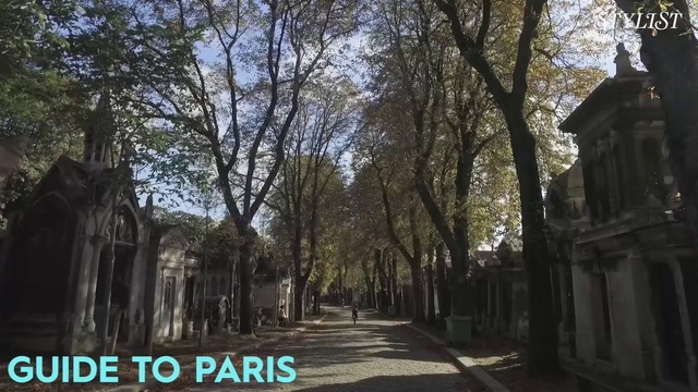 Video Reference: Tree, Landmark, Woody plant, Architecture, Plant, Building, Neighbourhood, Road, Landscape, House