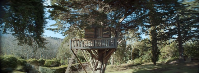 Video Reference: Tree house, Natural landscape, Tree, House, Landscape, State park, Architecture, National park, Plant, Building