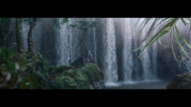 Video Reference: Waterfall, Nature, Body of water, Water resources, Nature reserve, Vegetation, Natural landscape, Jungle, Watercourse, Water