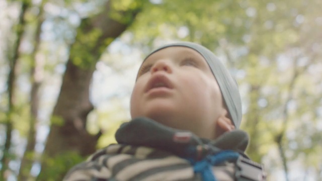 Video Reference: Child, Head, Nose, Baby, Tree, Photography, Toddler, Plant