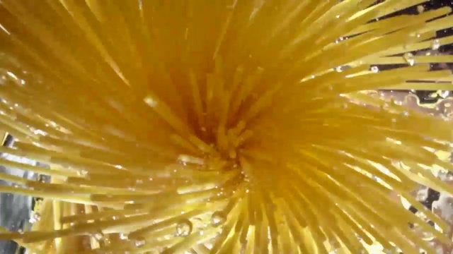Video Reference: Yellow, Close-up, Organism, Plant, Macro photography
