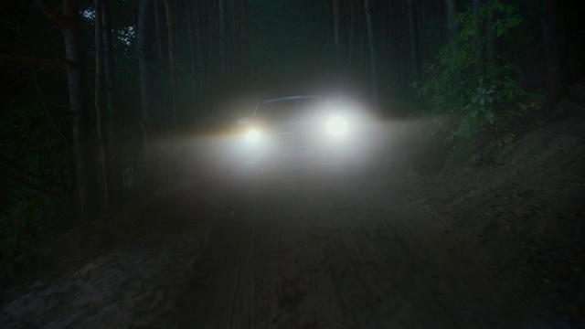 Video Reference: Darkness, Light, Atmospheric phenomenon, Atmosphere, Night, Lighting, Automotive lighting, Sky, Midnight, Tree