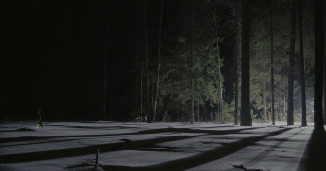 Video Reference: Black, White, Nature, Darkness, Tree, Black-and-white, Atmosphere, Light, Night, Sky, Person