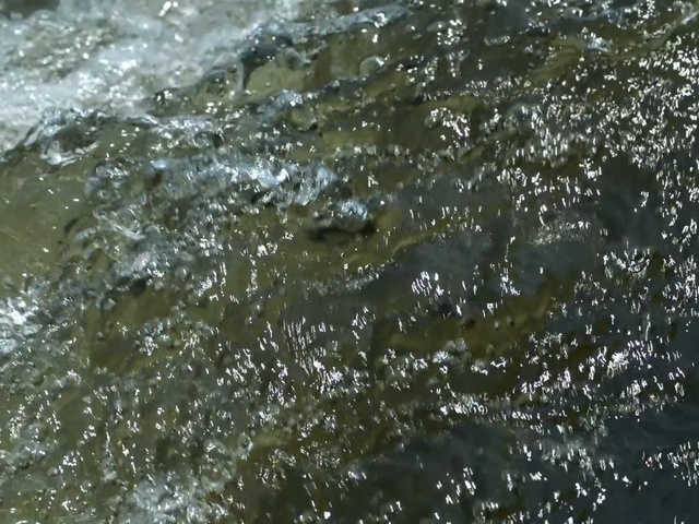 Video Reference: Water, Nature, Water resources, Watercourse, River, Plant, Stream