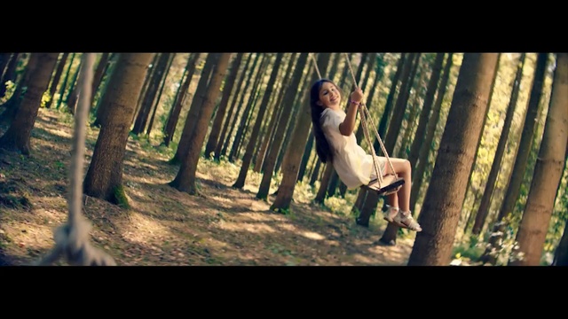 Video Reference: People in nature, Nature, Tree, Natural environment, Beauty, Forest, Woodland, Photography, Sunlight, Woody plant