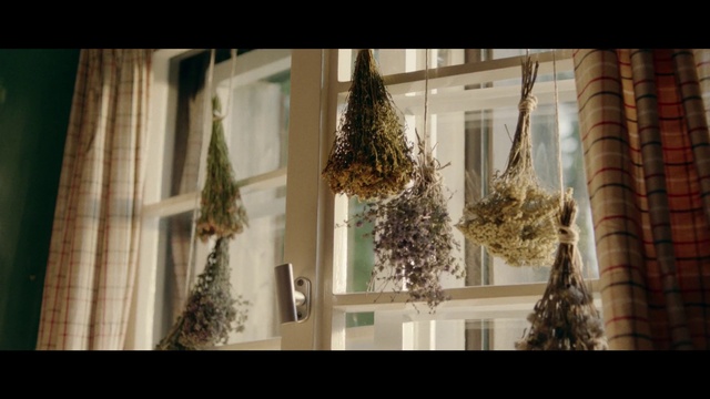 Video Reference: Tree, Branch, Architecture, Plant, Twig, Window, Interior design, Interior design, Pine family, House