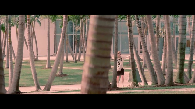 Video Reference: Tree, Forest, Woody plant, Plant, Trunk, Woodland, Plant stem, Adaptation, Grove