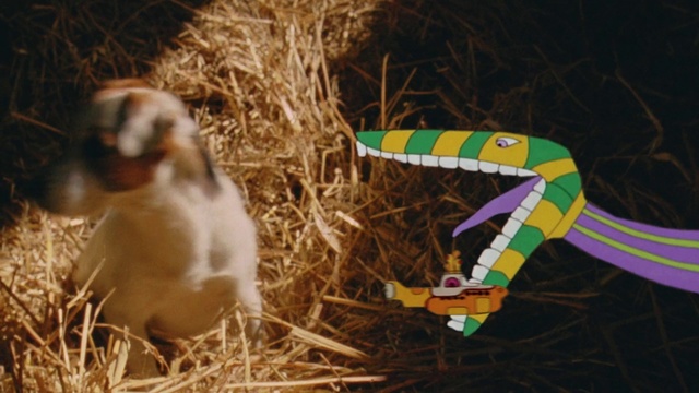 Video Reference: Organism, Adaptation, Canidae, Plant, Tail, Grass, Hay, Pile, Dry, Eating, Sitting, Building, Standing, Black, Laying, Little, Field, Small, Dog, Sheep, Brown, Group, Grazing, White, Baby, Nest, Flying, Mammal, Goat