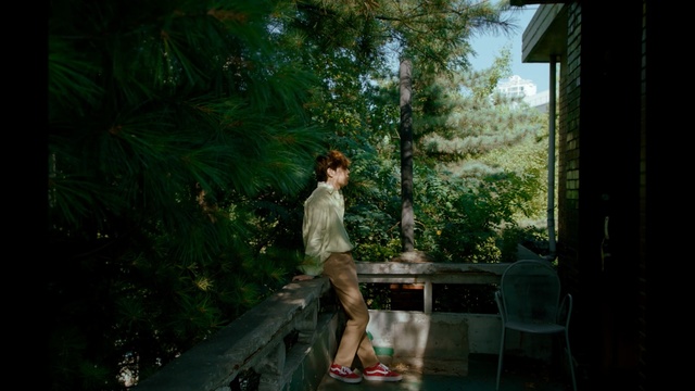 Video Reference: green, nature, tree, plant, water, photography, jungle, leaf, forest, rainforest