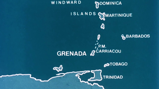 Video Reference: Text, Font, Organism, Water, Adaptation, Sky, Ocean, World