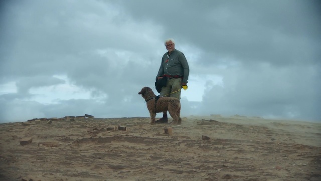 Video Reference: Dog, Canidae, Ecoregion, Hunting dog, Sporting Group, Carnivore, Dog breed, Field trial, Steppe