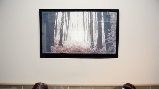 Video Reference: Room, Wall, Interior design, Visual arts, Picture frame, Modern art, Textile, Window, Art, Rectangle