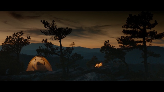 Video Reference: sky, tree, wilderness, atmosphere, screenshot, dawn, sunrise, evening, darkness, morning