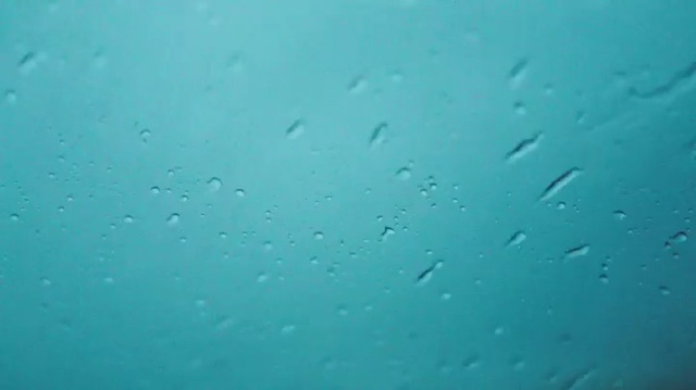 Video Reference: Blue, Water, Aqua, Turquoise, Green, Azure, Teal, Underwater, Organism, Marine biology