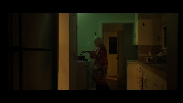 Video Reference: darkness, light, snapshot, screenshot, scene, house, midnight, window, night, girl
