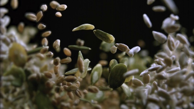 Video Reference: Flower, Plant, Close-up, Organism, Photography, Macro photography, Pollen, Person, Cake, Indoor, Table, Sitting, Decorated, Close, Chocolate, Lit, Food, Light, Large, Fruit, Plate, White, Birthday, Cutting, Animal, Brush, Rice, Reef, Aquarium, Flora, Closeup