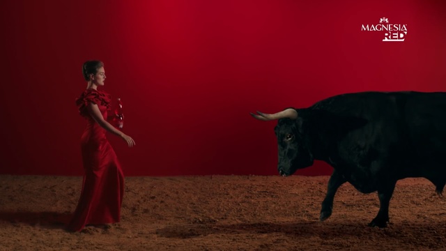 Video Reference: bull, red, performance, cattle like mammal, matador, bullfighting, tradition, event, darkness, ox