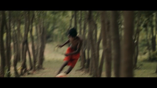 Video Reference: Nature, Natural environment, Tree, Woodland, Forest, Woody plant, Jungle, Screenshot, Organism, Photography, Person