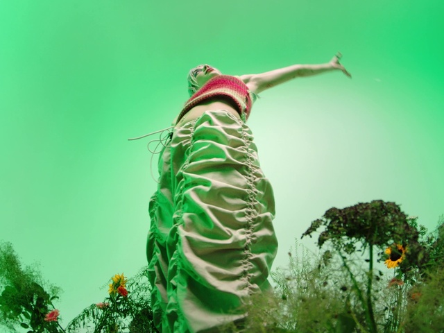 Video Reference: Plant, Flower, Green, People in nature, Sky, Happy, Grass, Natural landscape, Terrestrial plant, Tree