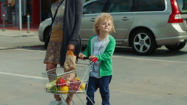 Video Reference: Vehicle, Mode of transport, Snapshot, Transport, Vehicle door, Car, Minivan, Volvo v50, Pedestrian, Family car