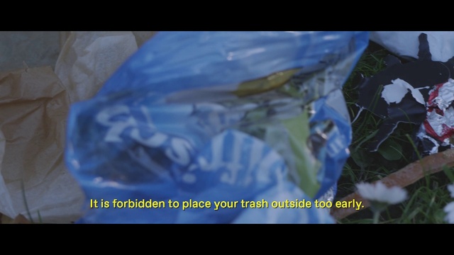 Video Reference: Blue, Text, Cobalt blue, Organism, Water, Font, World, Space, Electric blue, Plant